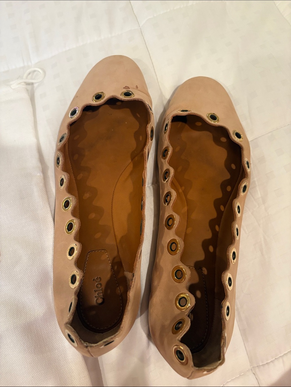 Chloe Blush Scalloped Eyelet Ballet Flats